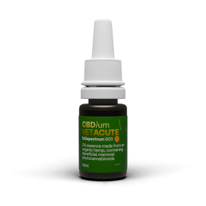 CBDium VET Acute 800 (8%) fullspectrum, 10ml