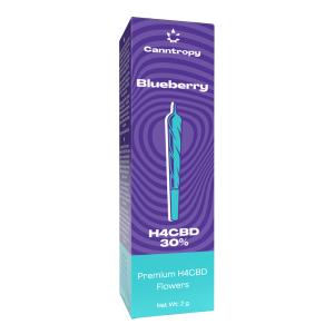 Canntropy H4CBD pre-rolled Joint 30% Blueberry | 1,5G