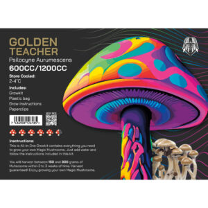 Magic Mushrooms Indian Spirit Golden Teacher spóry
