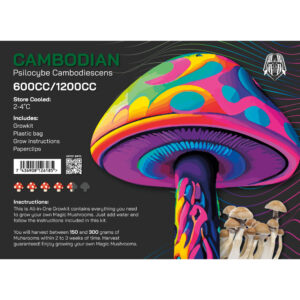 Magic Mushrooms Indian Spirit Cambodian spóry