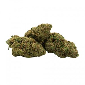 THCX kvet Mango Rambo 20% | 1G